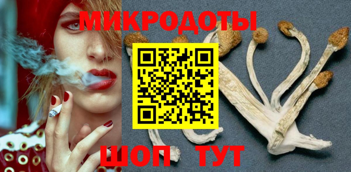 Галлюциногенные грибы GOLDEN TEACHER  Вход с VPN  Галлюциногенные грибы Psilocybe  Славгород 